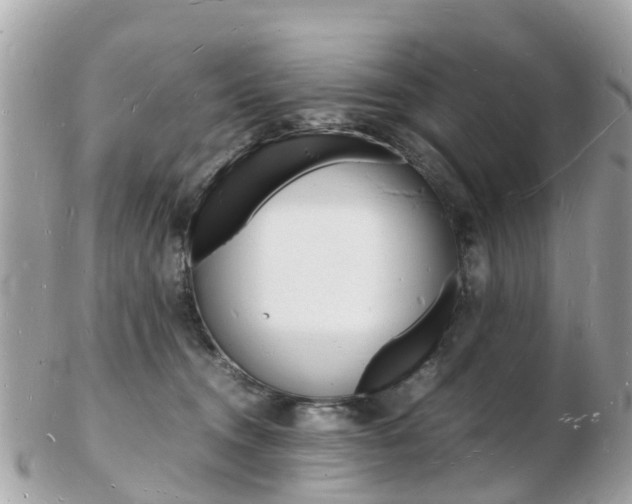 X0000103290372200808291113