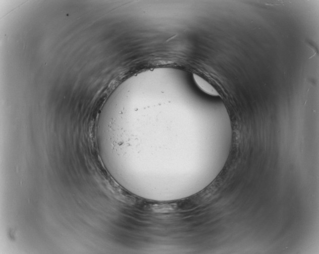 X0000103290373200808291113