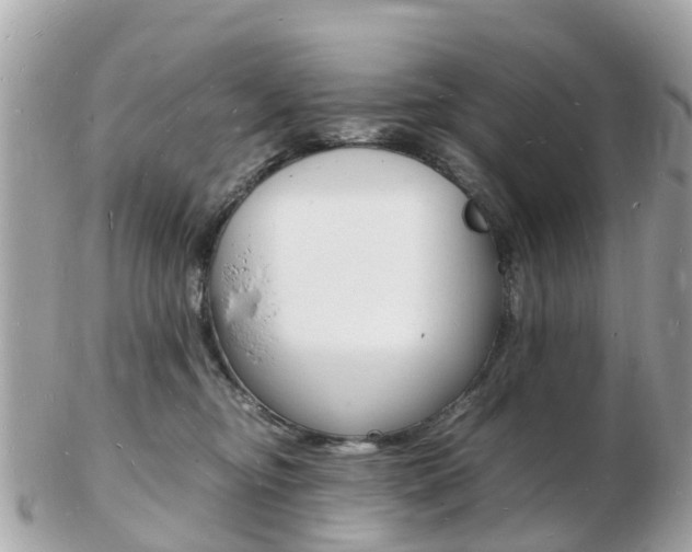X0000103290374200808291113