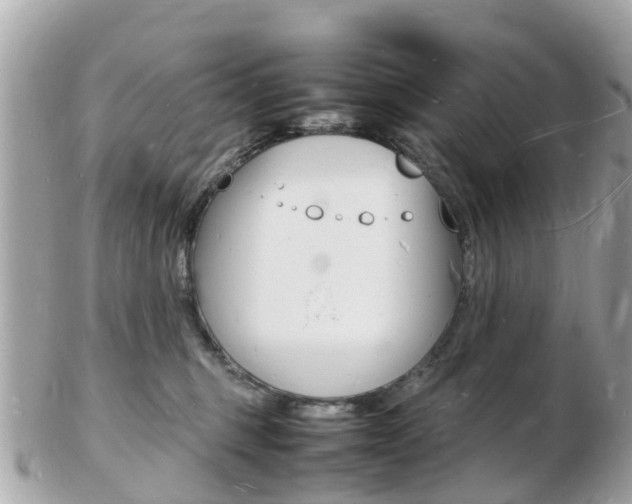 X0000103290375200808291113
