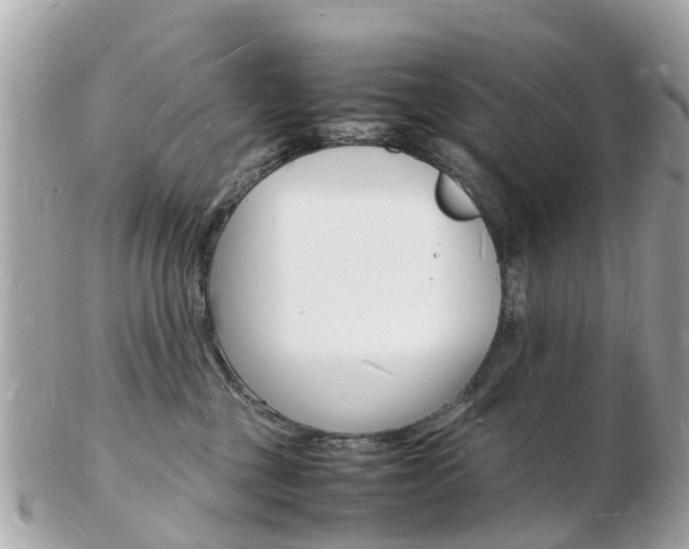 X0000103290377200808291113