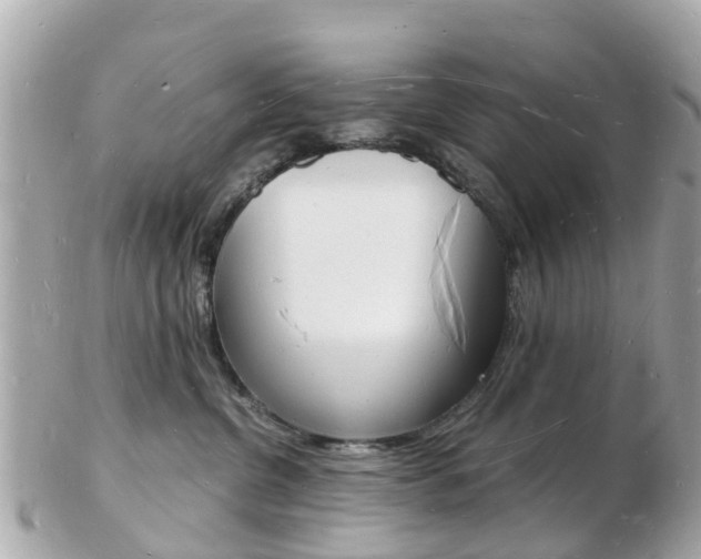 X0000103290380200808291113
