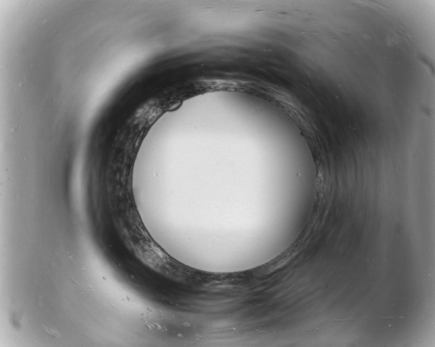 X0000103290381200808291113