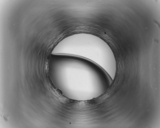 X0000103290382200808291113