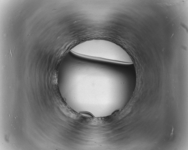 X0000103290384200808291113