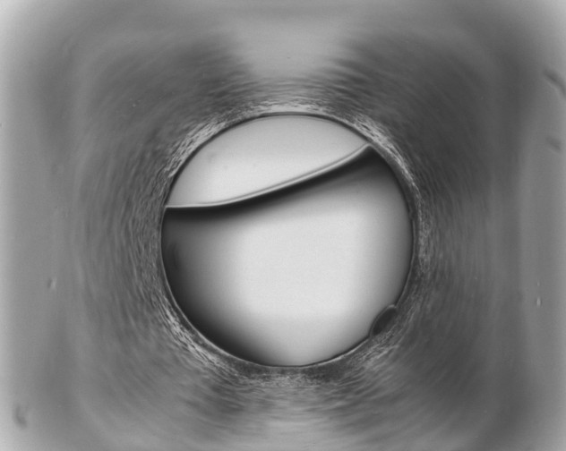 X0000103290385200808291113