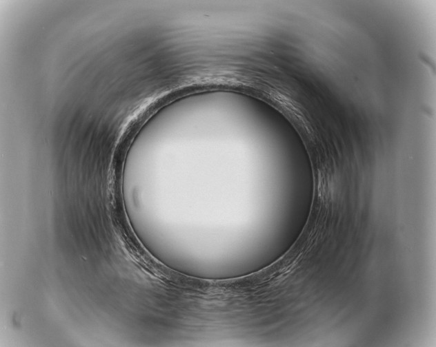 X0000103290388200808291113