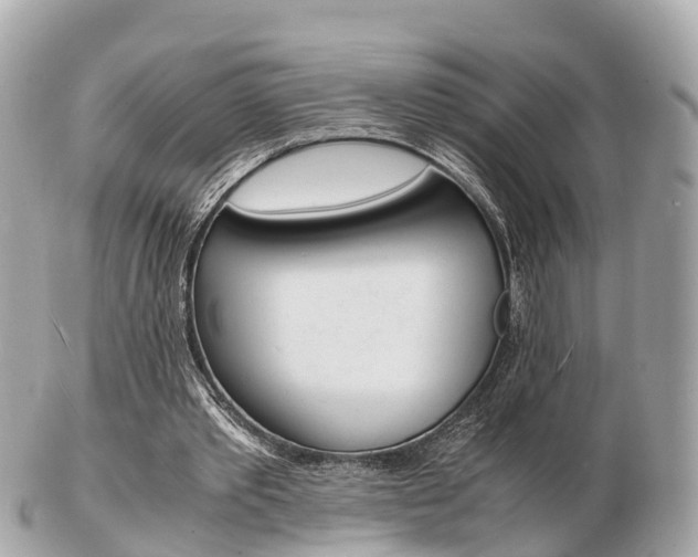X0000103290389200808291113