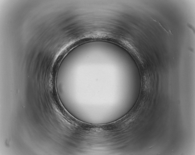 X0000103290392200808291112