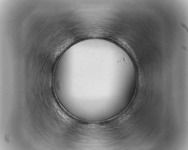 X0000103290393200808291112