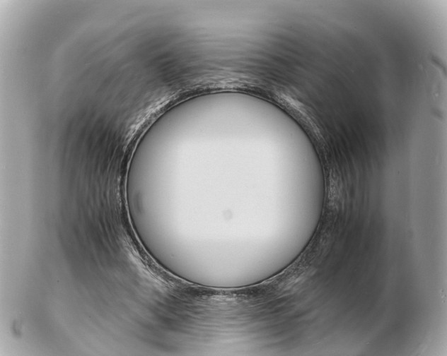 X0000103290394200808291112