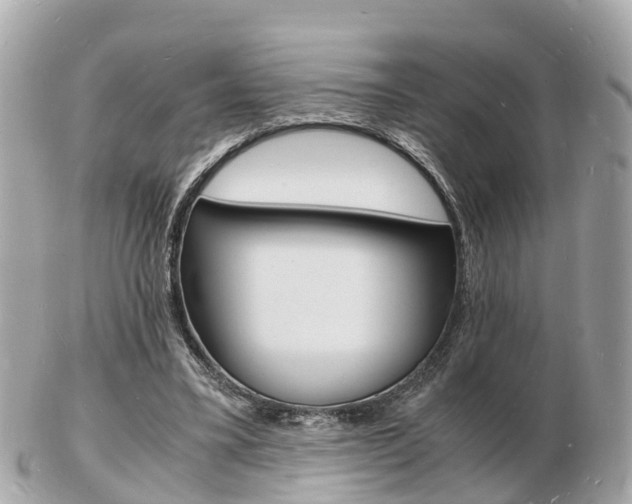 X0000103290395200808291112