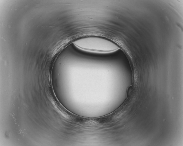 X0000103290397200808291112