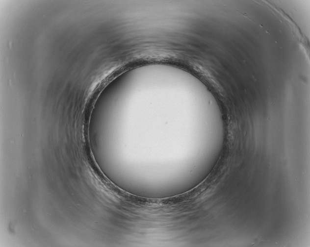X0000103290399200808291112
