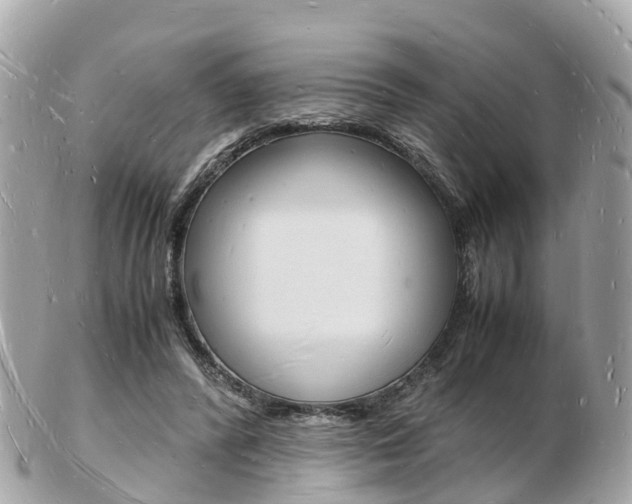 X0000103290400200808291112