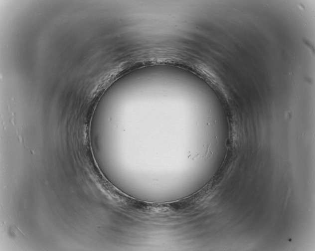 X0000103290401200808291112
