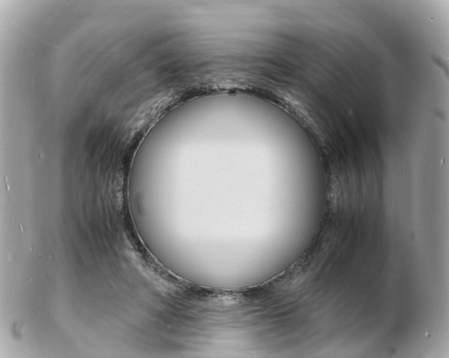 X0000103290402200808291112