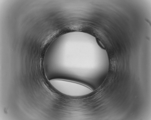 X0000103290404200808291112