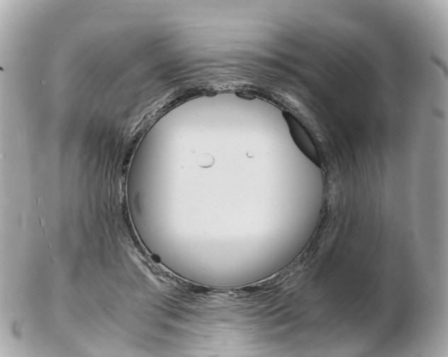 X0000103290405200808291112