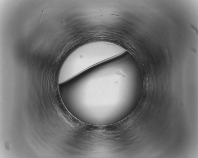X0000103290408200808291112