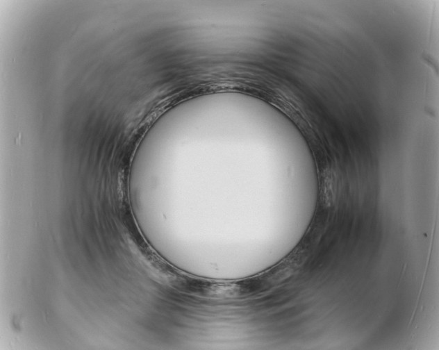 X0000103290410200808291112