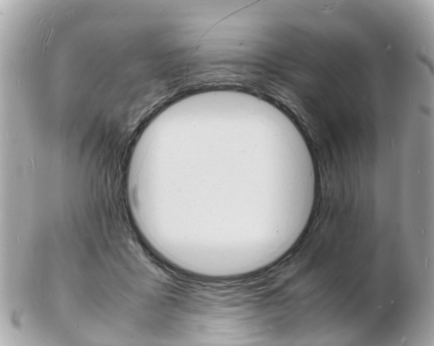 X0000103290411200808291112