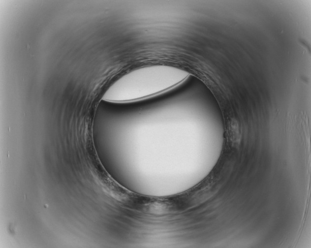 X0000103290412200808291112