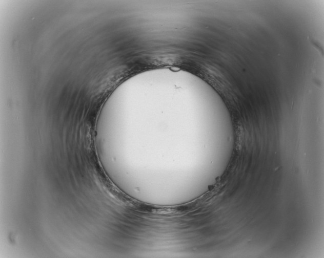 X0000103290414200808291112