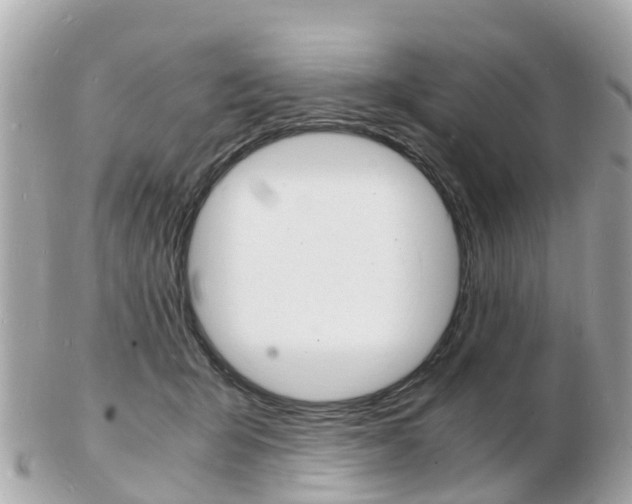 X0000103290415200808291112