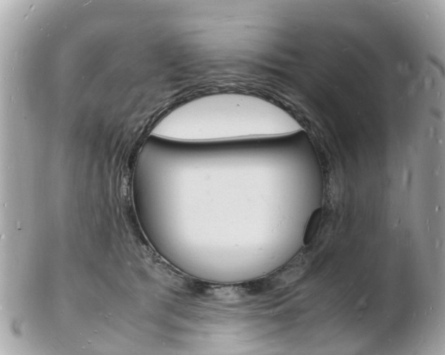 X0000103290417200808291112