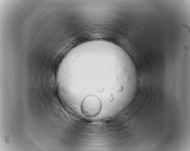 X0000103290418200808291112