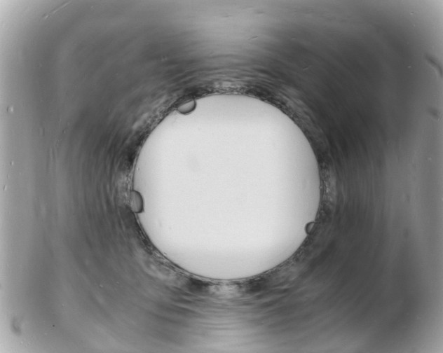 X0000103290419200808291112
