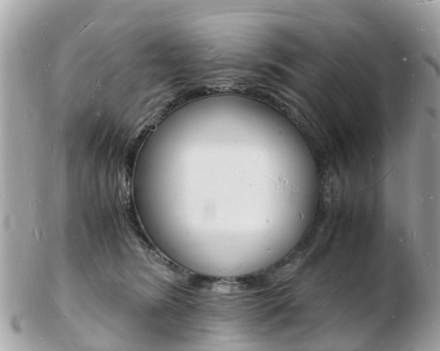 X0000103290420200808291112
