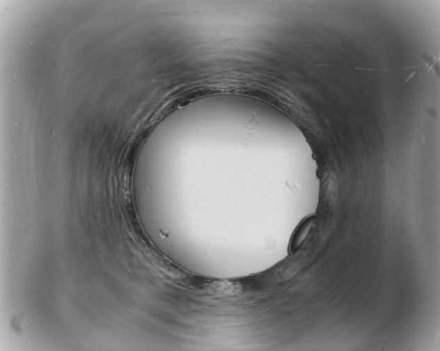 X0000103290421200808291112