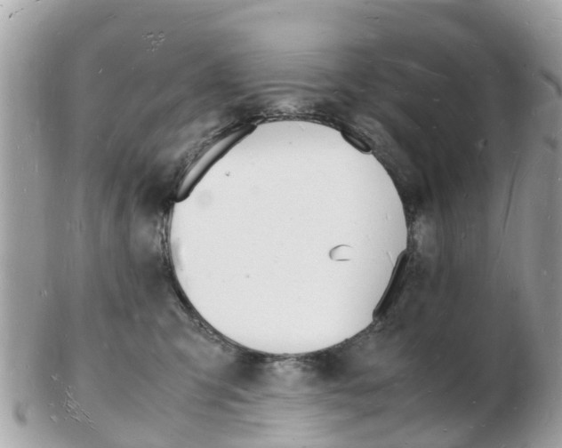 X0000103290423200808291112