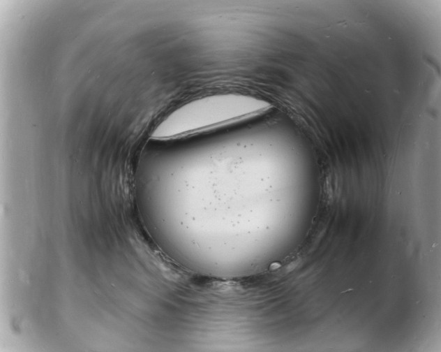 X0000103290424200808291112
