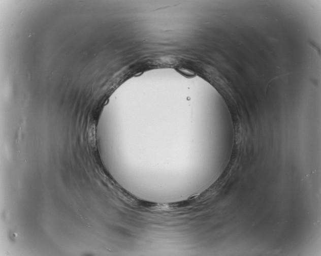 X0000103290425200808291112