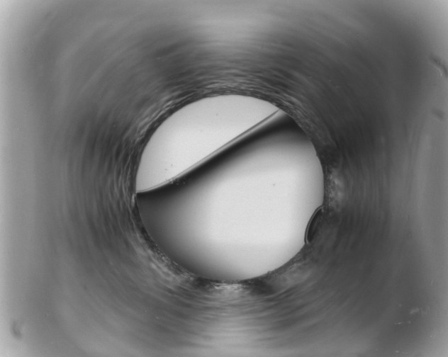 X0000103290428200808291112