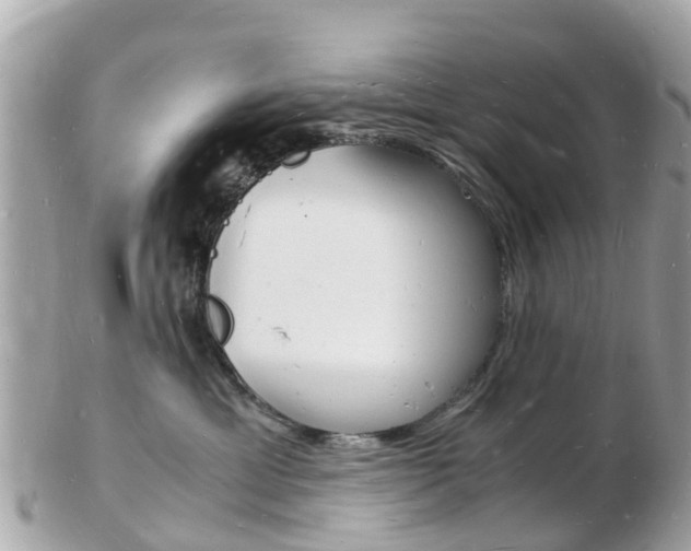 X0000103290429200808291112