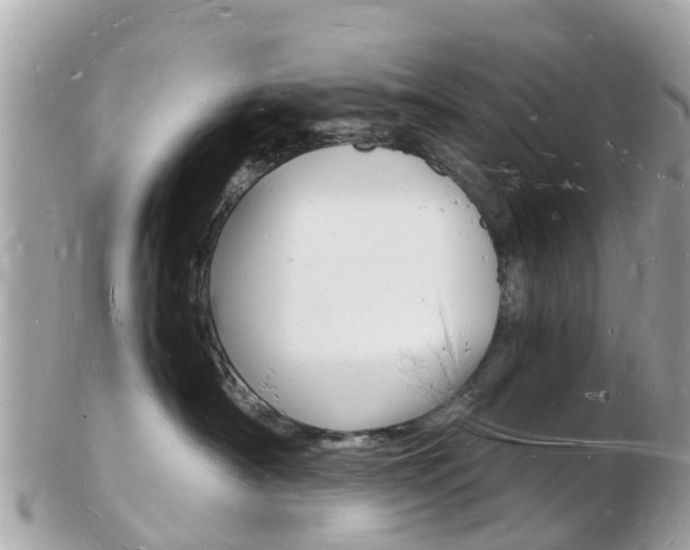 X0000103290430200808291112