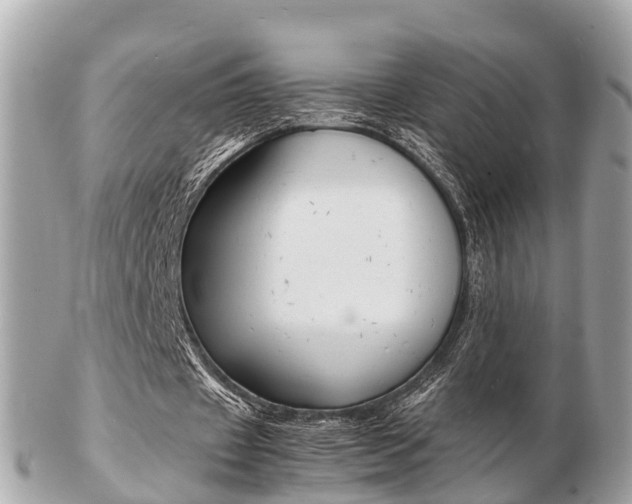X0000103290433200808291111