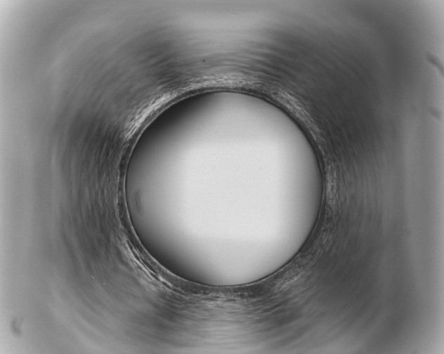 X0000103290434200808291111