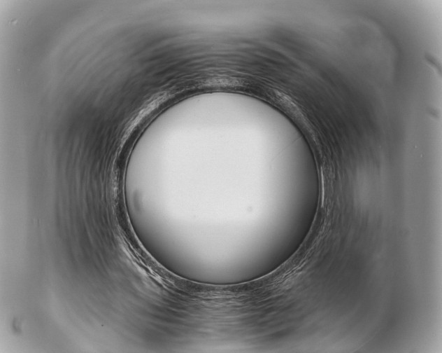 X0000103290435200808291111