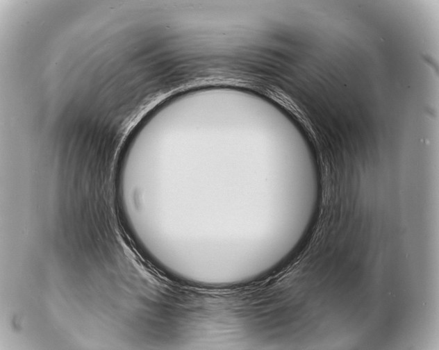 X0000103290436200808291111