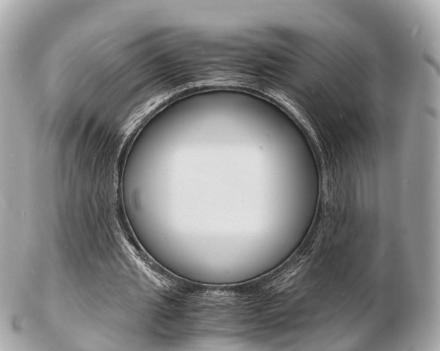 X0000103290437200808291111