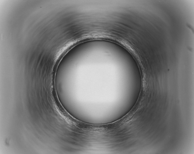 X0000103290438200808291111