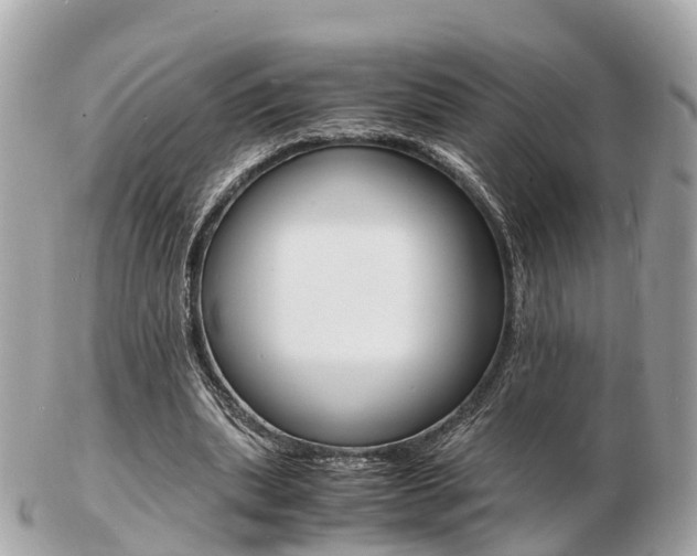 X0000103290439200808291111