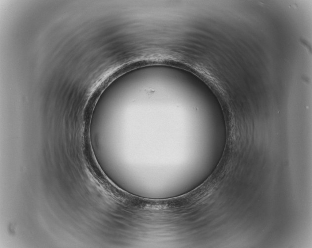 X0000103290440200808291111