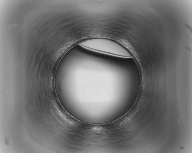 X0000103290441200808291111