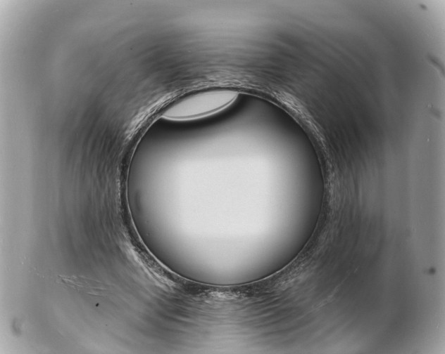 X0000103290442200808291111